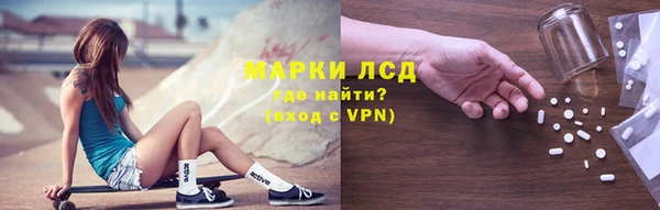 СК Володарск